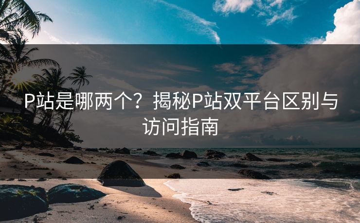 P站是哪两个？揭秘P站双平台区别与访问指南