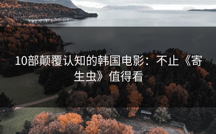 10部颠覆认知的韩国电影:不止《寄生虫》值得看 10部颠覆认知的韩国电影:不止《寄生虫》值得看